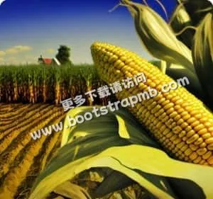 24小時不間斷，暢享頂級觀賽體驗 - 咪咕视频