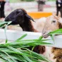 探索足球的精彩世界 - 咪咕视频